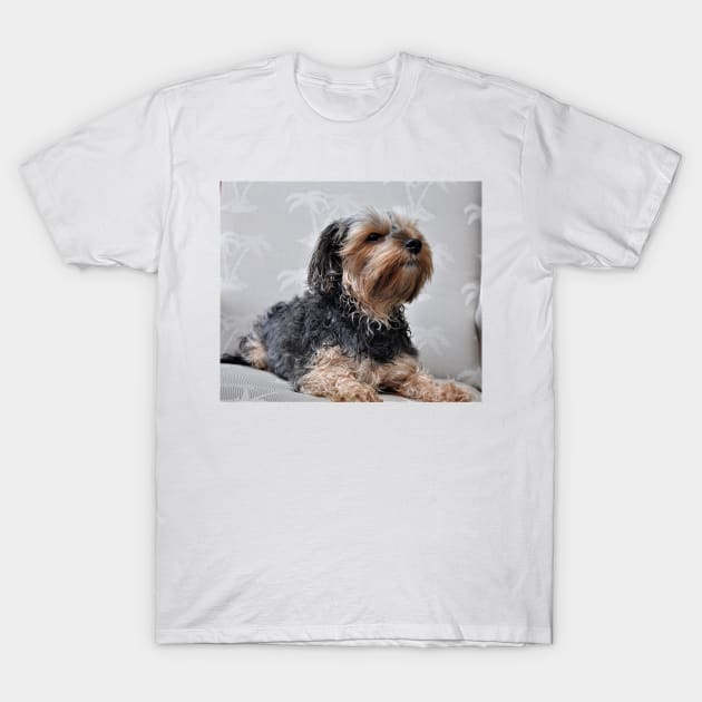 Cute Yorkie Yorkshire Terrier Sunbathing T-Shirt by AdrianaHolmesArt